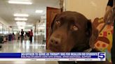K9 officer to serve as therapy dog for McAllen ISD students