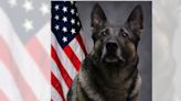 Detective charged in Monroe County K-9′s death pleads no contest
