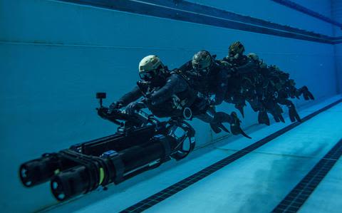 Australian lawmaker calls for US Navy SEALs to work, train Down Under