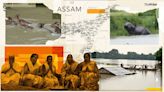 21 lakh people affected, over 50 dead in flood-hit Assam. 3 rhinos drown in submerged Kaziranga