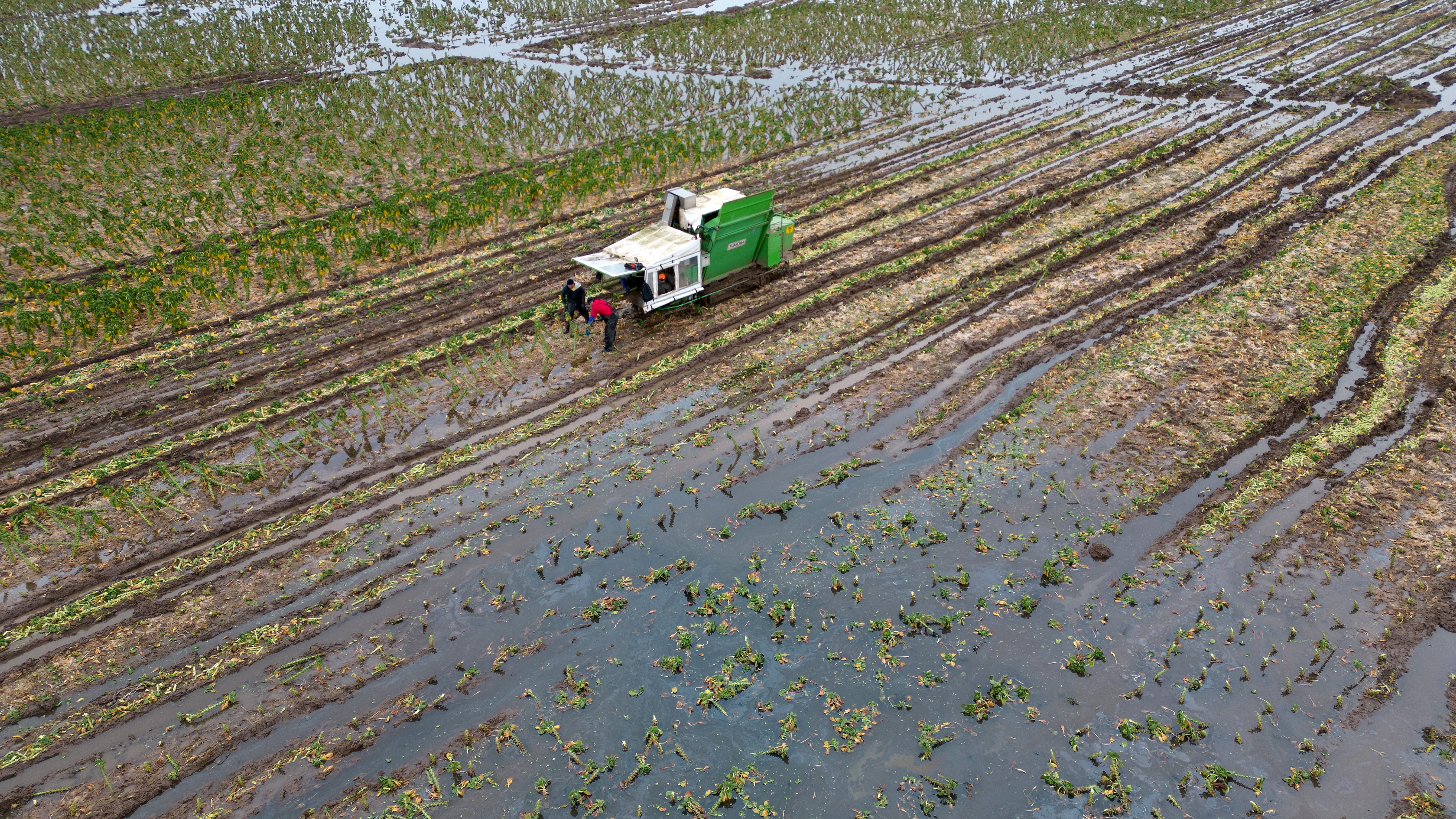 Climate change leading to food price volatility, campaigners warn