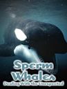 Sperm Whales, Dealing with the Unexpected