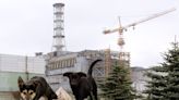 Chernobyl's stray dogs are 'genetically distinct' 40 years after the massive nuclear radiation leak, scientists find