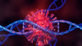 Humans are 8% virus – how the ancient viral DNA in your genome plays a role in human disease and development