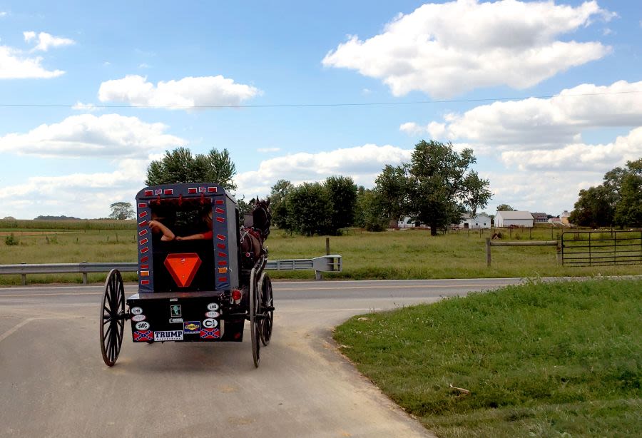 Lancaster County Amish child killed in horse training accident