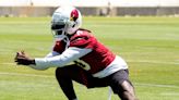 Arizona Cardinals might be longshots, but new receiver Zach Pascal says they're hungry