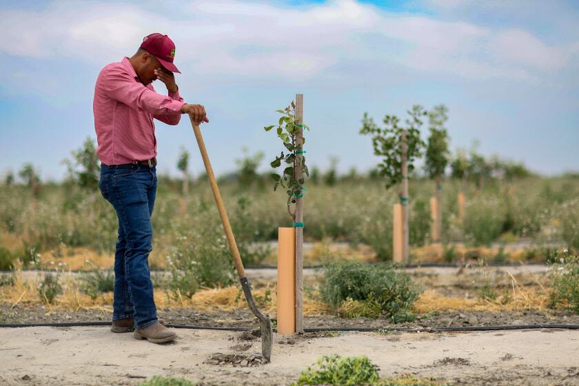 As California seeks to curb groundwater declines, farmers in one county fight back in court