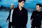 The Script