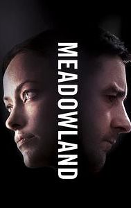 Meadowland (film)