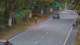 Watch: Leopard runs out of forest and knocks man off his bike