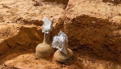 Excavation unearths cherries in cellar of George Washington's Mount Vernon