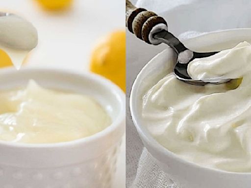 Curd Vs Yoghurt: Which One Is Healthier For Body And Mind?