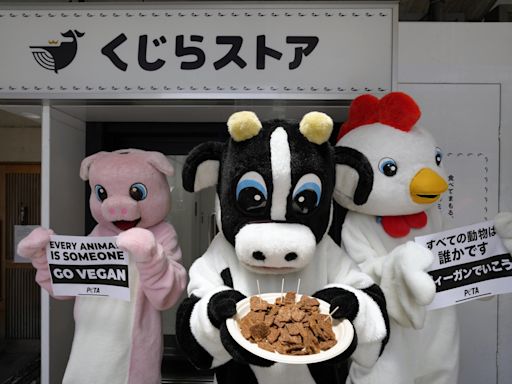 Activistas protestan contra el consumo de carne de ballena en Japón