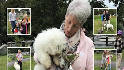 Helston's furry friends shine at family dog show