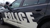 Stray dog shot by homeowner in Battle Creek, police say