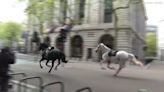 British military horses injured while running through London in April 'recovering with remarkable speed'