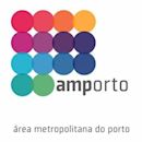 Porto metropolitan area