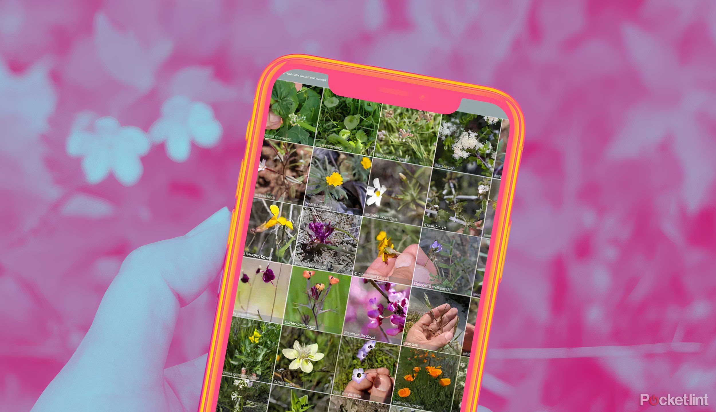 Wait, is that poison ivy? How I use my phone to identify plants for free