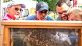 PHOTOS: Bee City Day at Florence Market