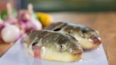 How The Poisonous Pufferfish Became A Delicacy (And The Deadly Mishaps That Followed)