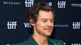 Harry Styles Spotted Hugging Event Planner Sofia Krunic 2 Months After Olivia Wilde Split: Details