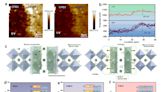 Study finds CsPbBr₃ out-of-phase perovskite helps highly sensitive X-ray detection