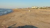 Decomposing beaked whale washed ashore in Spring Lake