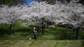 When is meteorological spring? What to know about the start of spring this year