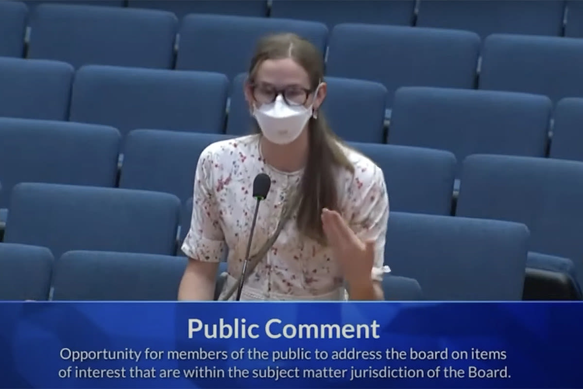 Daughter of Ben Affleck and Jennifer Garner Takes the Podium at L.A. County Board of Supervisors Meeting