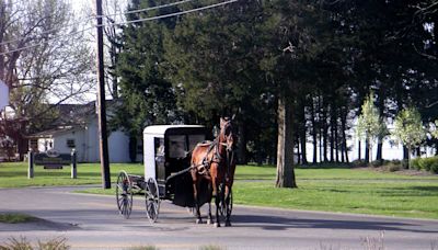 One dead, six injured after pickup truck hits Amish buggy in Virginia