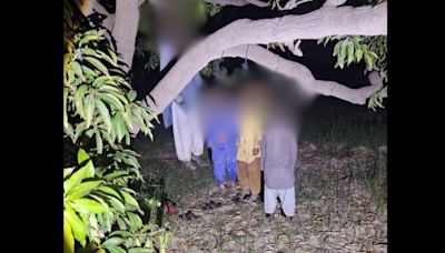 ... & His 3 Minor Sons Found Hanging From Tree Inside Mango Orchard In Umerkot, Police Suspect Suicide; Horrific ...