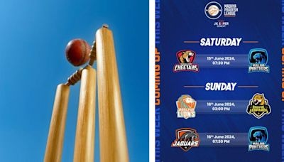 Madhya Pradesh Cricket League 2024: Gwalior Cheetahs To Face Malwa Panthers In Opener (WATCH)