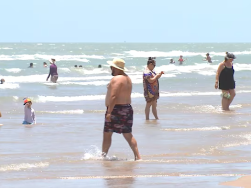 Shark believed to have attacked 4 people in waters off South Padre Island on Fourth of July - KVIA