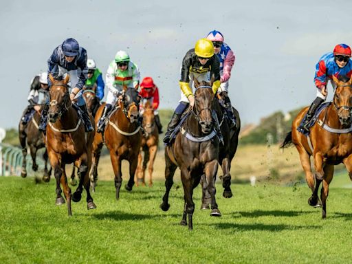 Tony Bloom sees teen star shine - and this time it's at the races in Brighton Bullet