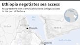 Posts falsely claim Ethiopian government terminated port lease agreement with Somaliland