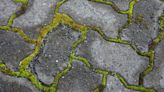 I had green algae all over my patio - it looks brand new thanks to a 'magic' buy