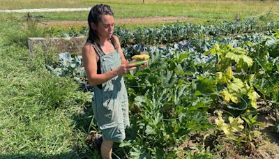 Cultivating love for locally grown food: Spartanburg's Wild Roots Farm makes a difference