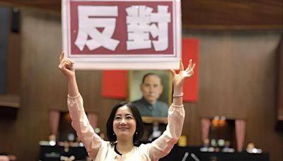 罷免連署難度加嚴 藍白聯手逕付二讀 民進黨團高舉「反對鳥籠罷免」