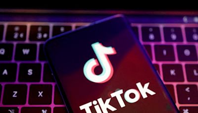 行政院提打詐專法 TikTok等若不配合防詐 最重可封網