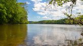 Father and son drown after dad tries to rescue teen at popular Virginia lake