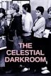 The Celestial Darkroom
