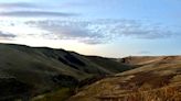 Look beyond the obvious at Zumwalt Prairie Preserve in northeastern Oregon