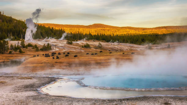 Planning a Trip to Yellowstone? Here’s the Best Time to Visit