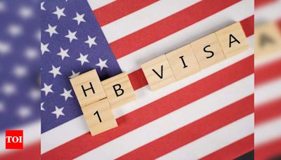 How some companies manipulated the H-1B visa lottery - Times of India