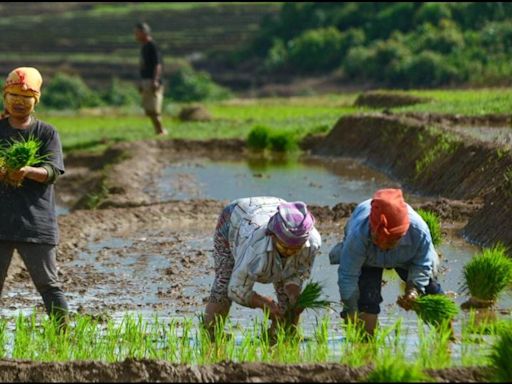 Hot and dry June pushes back planting across the country