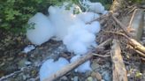 Cleanup continues after firefighting foam spills into B.C. creek