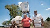 La odisea de quienes van detrás del tesoro que salve a las vacas de morir por la sequía