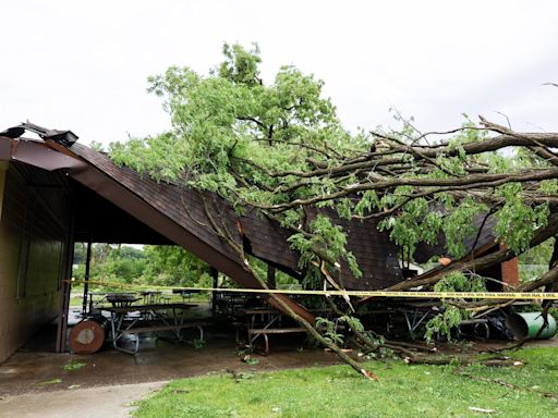 2-year-old killed in Livonia tornado was sleeping with mom when tree fell on their house