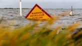 Louisiana activists, professors creating free environmental justice lessons for students