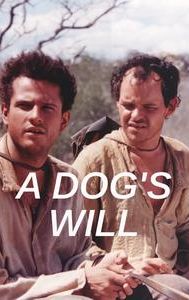 A Dog's Will